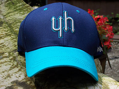 click to close window